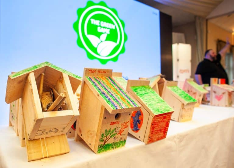 Bird boxes and insect hotels built for The Green Game, one of Orangeworks CSR team building activities.